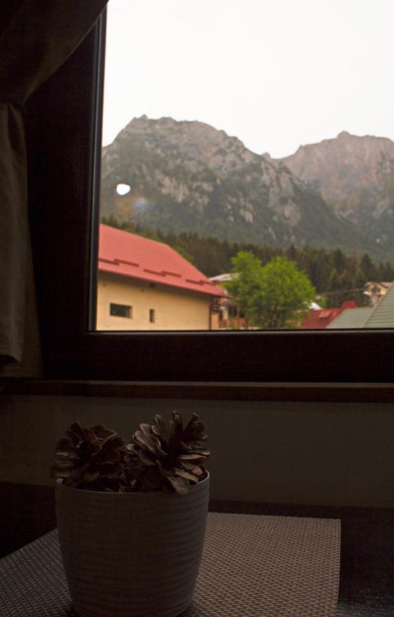 Apartament Mountain Life Buşteni Εξωτερικό φωτογραφία