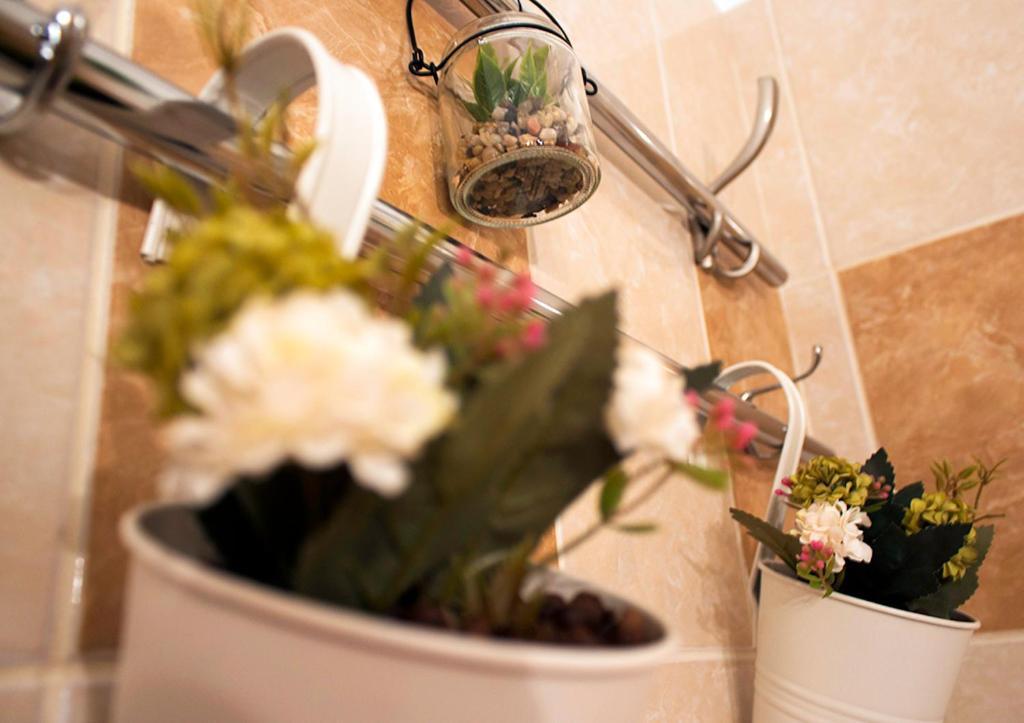 Apartament Mountain Life Buşteni Εξωτερικό φωτογραφία