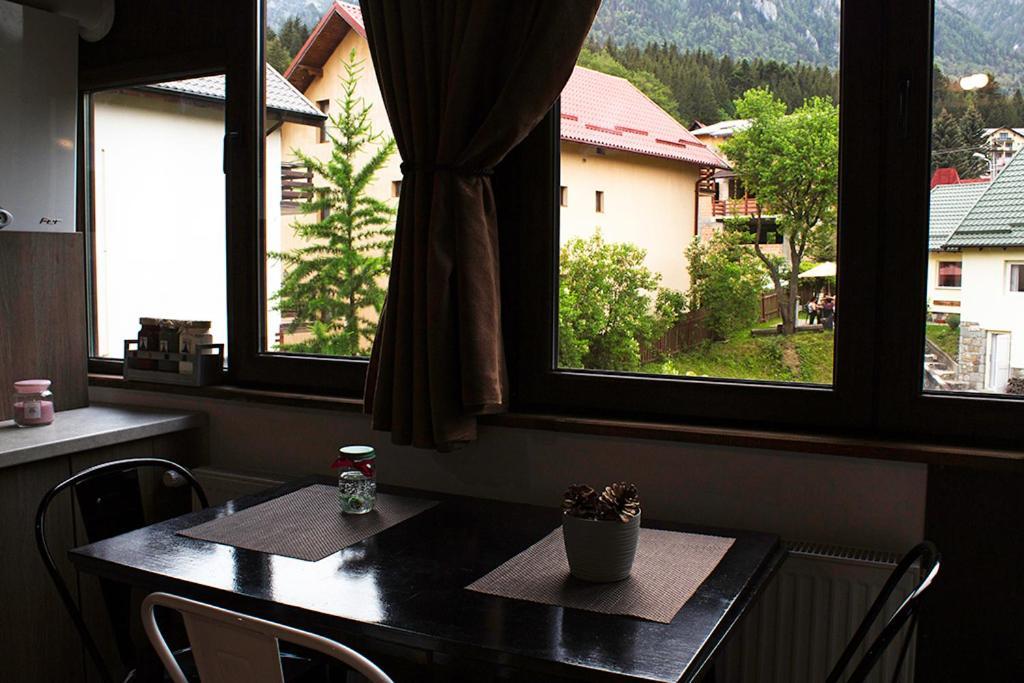 Apartament Mountain Life Buşteni Εξωτερικό φωτογραφία