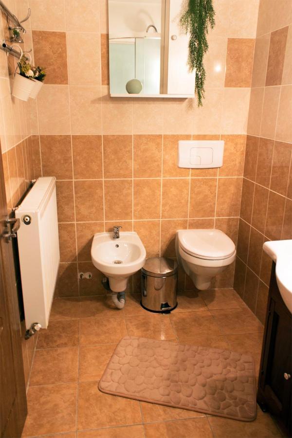 Apartament Mountain Life Buşteni Εξωτερικό φωτογραφία